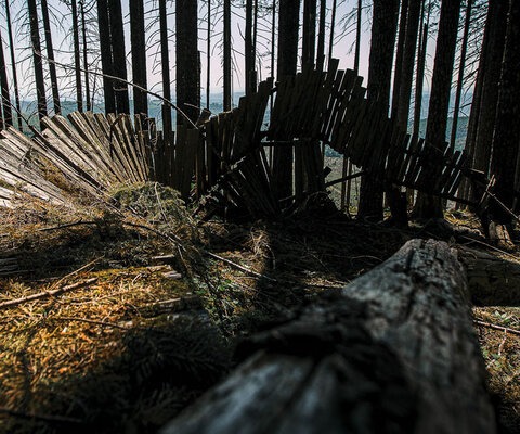 Throughout the 2000s, the forests of Black Rock, Oregon were transformed into a haven of freeride trails with impressive wooden features that drew some of the world’s best riders for fun and film shoots—including those for impactful flicks from the “New World Disorder” series. The trails and stunts eventually fell into disrepair, leaving these ghosts of a glorious past. Photo: Riley Seebeck