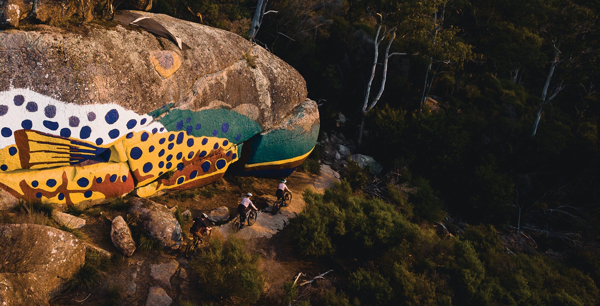 One of the most renowned trails in Derby is Trouty, celebrated for its signature, hulking rock formation that bears the colorful painting of a trout. Georgia Petrie, Will Keay, and Nathan Petrie cruise past this fish slab during an evening ride.