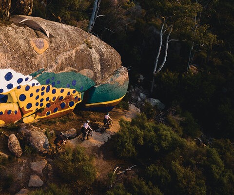 One of the most renowned trails in Derby is Trouty, celebrated for its signature, hulking rock formation that bears the colorful painting of a trout. Georgia Petrie, Will Keay, and Nathan Petrie cruise past this fish slab during an evening ride.