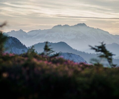 While the sea-level views from the Sea to Sky Corridor and Howe Sound are impressive, the higher you go, the better they get. Looking out from Sky Pilot and Goat Ridge, the mountains extend into infinity.