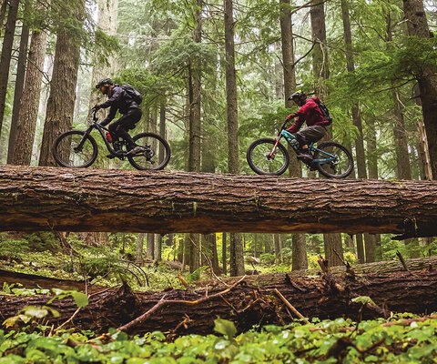 Oakridge is known for its old-growth forests, with ancient giants so broad they can sometimes serve as the trail itself. Sage Cattabriga- Alosa and Cam McCaul make the most of this natural transition. | CANON, 1/640 sec, f/3.2, ISO 2500