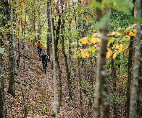 Jake Meredith leads Bart Hanners across a section of the Womble trail between Highway 298 and Highway 27. The Womble’s punchy climbs often top out at peekaboo views of steep canyons and bluffs. Leslie Kehmeier | SONY 1/800 sec, f/4, ISO 2000